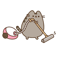 pusheen cat with a vacuum cleaner